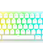 White / Wired / 60%