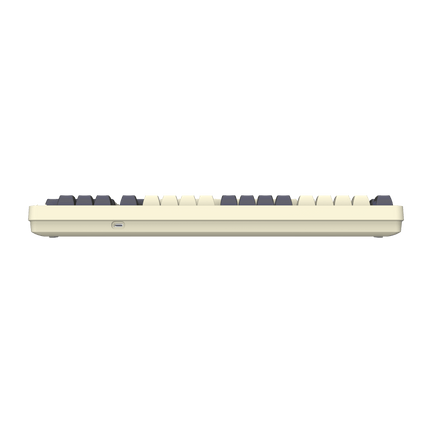 DarkFlash DF98 RGB Wireless (3-Modes BT/2.4GHz/USB-C) Gasket RGB (Linear Yellow Switch) Mechanical Gaming Keyboard - Twilight