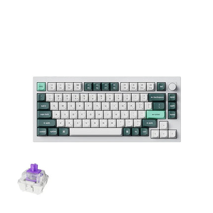Keychron Q1 HE 75% RGB Backlight Swappable Fully Assembled Knob, QMK Wireless Mechanical Gaming Keyboard (Gateron Double-Rail Magnetic Nebula Switch) - Shell White - English/Arabic Keyboard