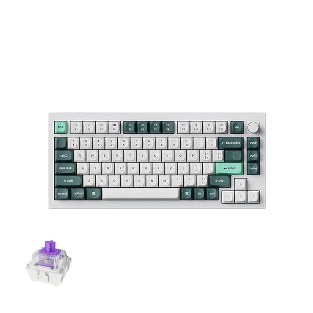 Keychron Q1 HE 75% RGB Backlight Swappable Fully Assembled Knob, QMK Wireless Mechanical Gaming Keyboard (Gateron Double-Rail Magnetic Nebula Switch) - Shell White - English/Arabic Keyboard