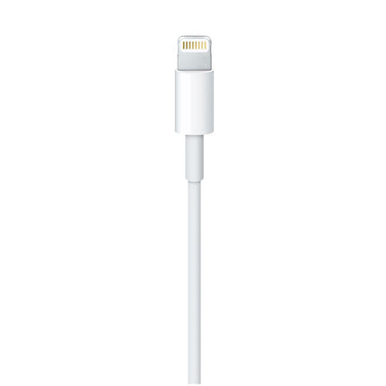 Apple Lightning To USB Cable For iPhone, iPad, iPod - 2 M