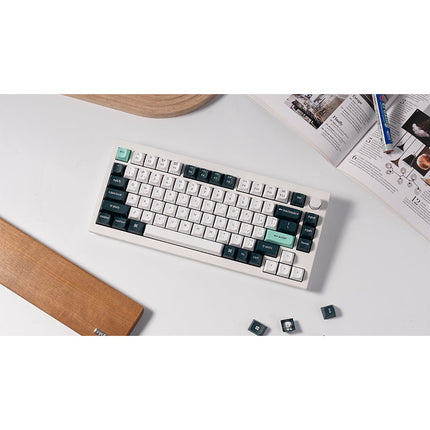 Keychron Q1 HE 75% RGB Backlight Swappable Fully Assembled Knob, QMK Wireless Mechanical Gaming Keyboard (Gateron Double-Rail Magnetic Nebula Switch) - Shell White - English/Arabic Keyboard