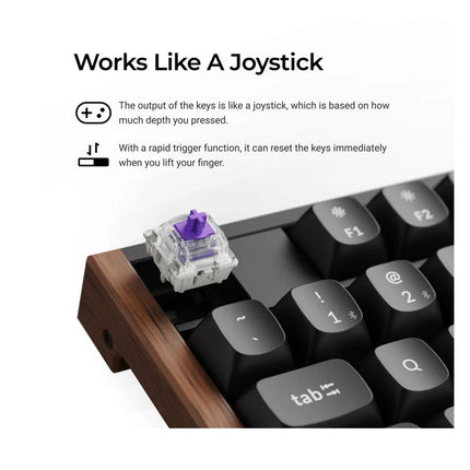 Keychron K10 HE Max  80%  Wireless Mechanical Keyboard · RGB Backlight · Gateron Red Switch · BT 5.1 / 2.4GHz / USB-C (Arabic Layout)