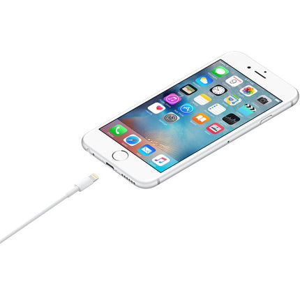 Apple Lightning To USB Cable For iPhone, iPad, iPod with IC - 1 Meter