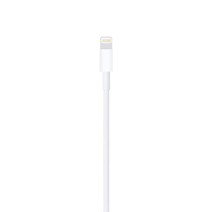 Apple Lightning To USB Cable For iPhone, iPad, iPod with IC - 1 Meter