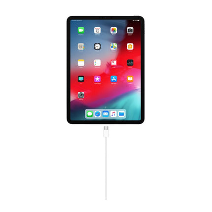 Apple Type C to Type C Charging Cable (20W) - 1 M