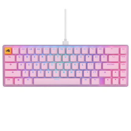 Glorious GMMK2 Compact 65% Modular Mechanical Gaming Keyboard Pre-Built Edition