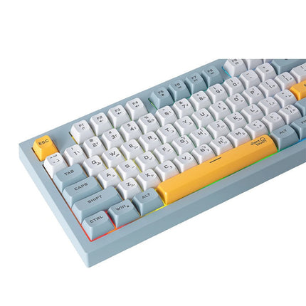 Twisted Minds Spectrum Series Wired Keyboard 80% Compact Gasket structure Membrane - (English / Arabic) Layout