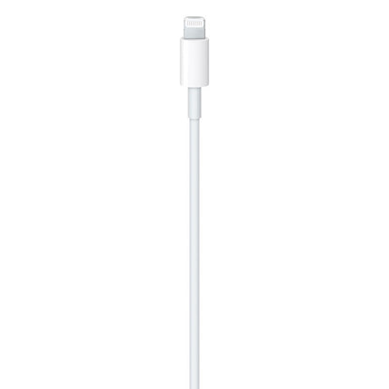 Apple USB-C to Lightning Cable (1m)