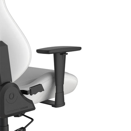 DXRacer Drifting Series XL Gaming Chair