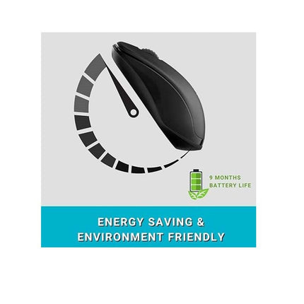 Rapoo 1620 Wireless Optical Mouse Black