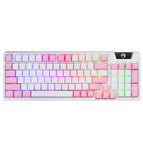 Pink / Wireless / TKL 80%