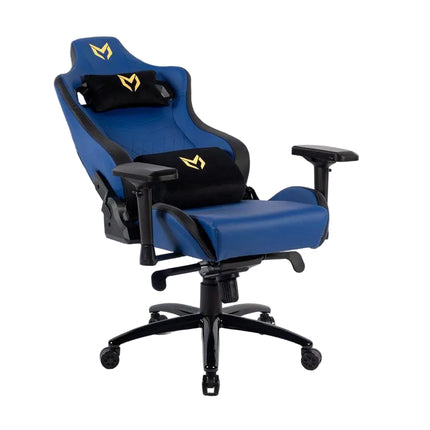 Matrix Gaming Chair with Back and Neck Support
