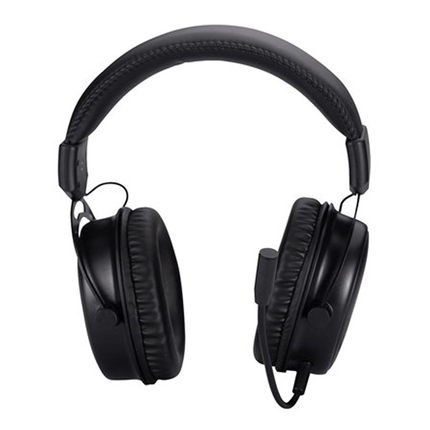 HP LED Backlight Multimedia Controls Wired Headset - Black