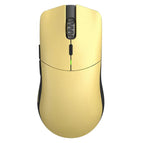 Golden Panda / USB Dongle