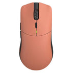 Red Fox / USB Dongle