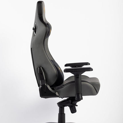 Matrix Gaming Chair with Back and Neck Support