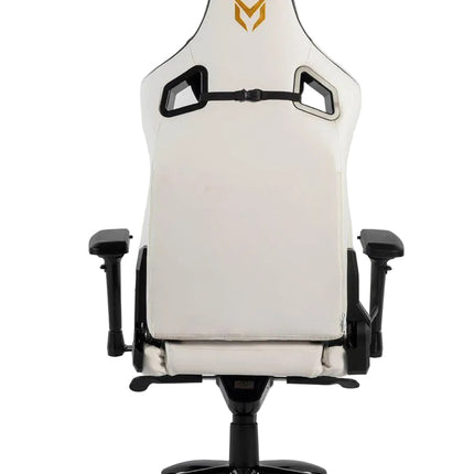 Matrix Gaming Chair with Back and Neck Support