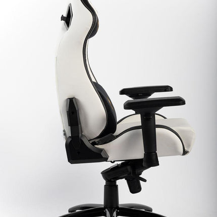 Matrix Gaming Chair with Back and Neck Support