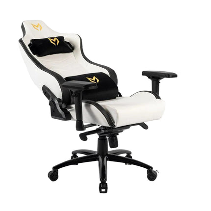 Matrix Gaming Chair with Back and Neck Support
